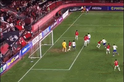 1730893903855065937.gif 陈蒲.gif